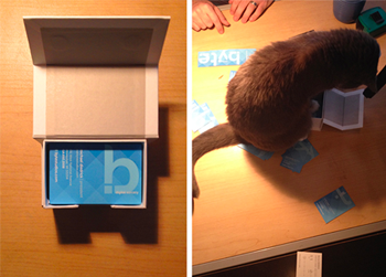image of the office cat aiding in the unboxing of the new business cards